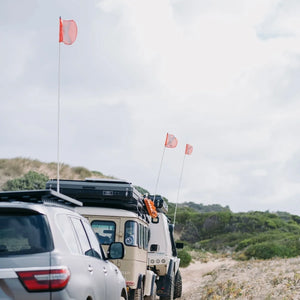 Sand Flag