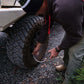 Saber Tyre Deflator