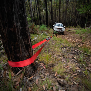 TREE TRUNK PROTECTOR